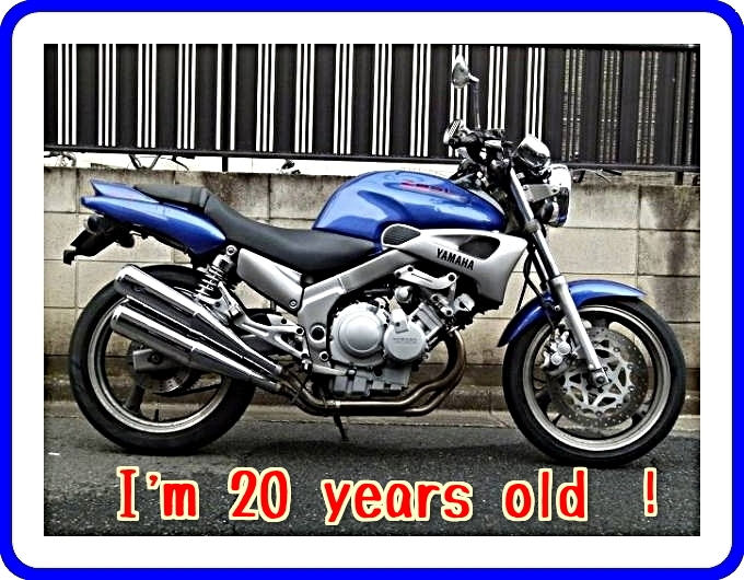 我が家のジール君