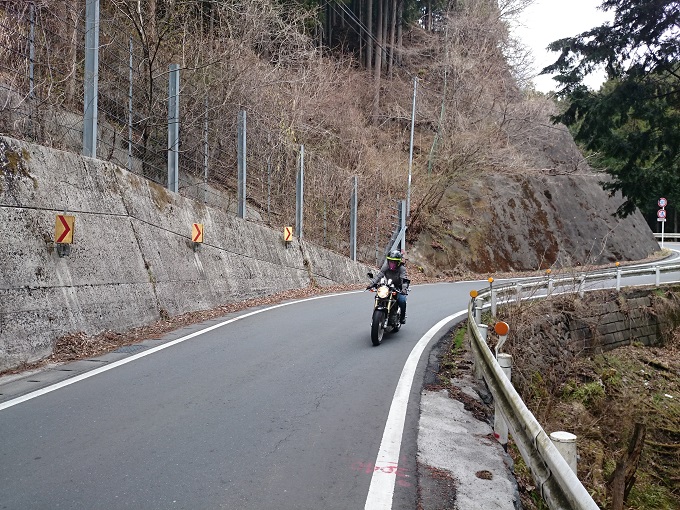 グースin山伏峠