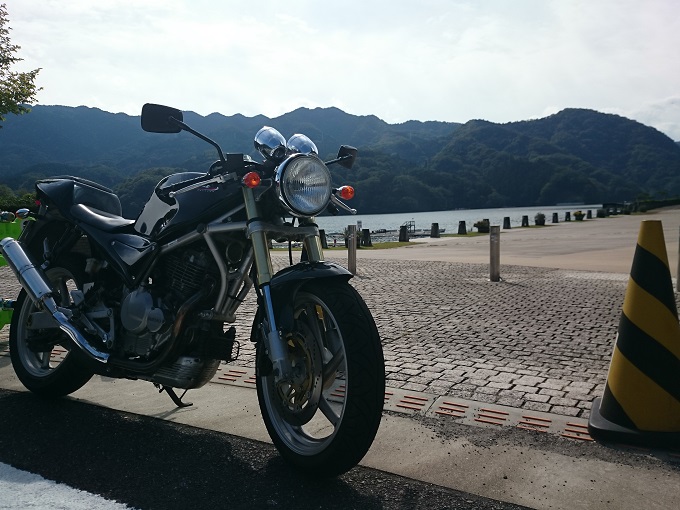 グースin相模湖