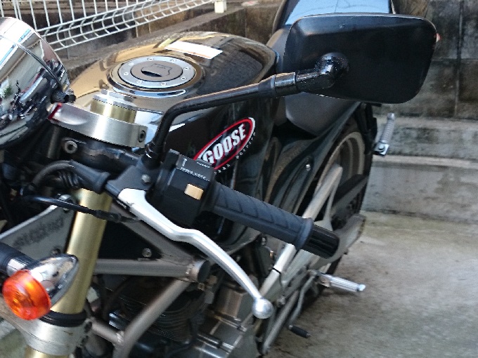 グース交換後のミラー