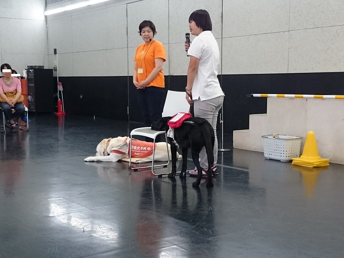 椅子の場所を教える仕事